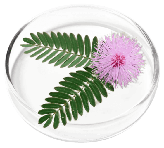 FemiCore Ingredients 1