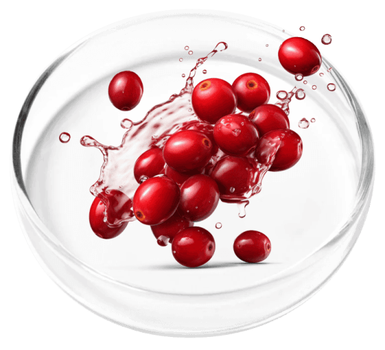 FemiCore Ingredients 3