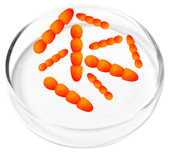 FemiCore Ingredients 5