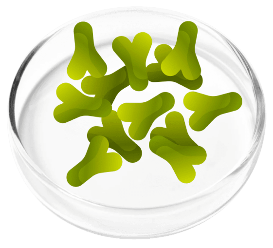 FemiCore Ingredients 6